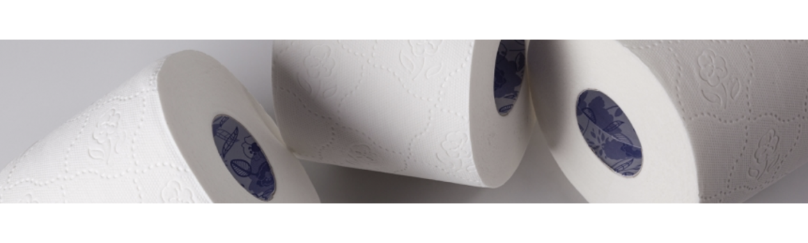 Distributeurs de papier toilette inox professionnels